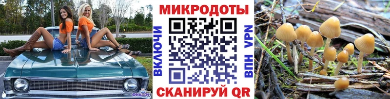 Псилоцибиновые грибы Psilocybine cubensis  Обоянь 